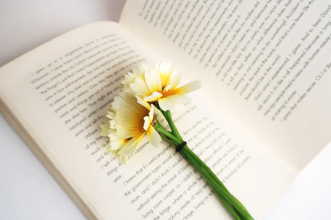 Why the Middle of a Book Is the Hardest Part (Image Credits: Unsplash)