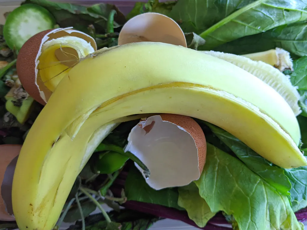 The Soil Microbiome Benefit Nobody Talks About (Ruth and Dave, Flickr, CC BY 2.0)