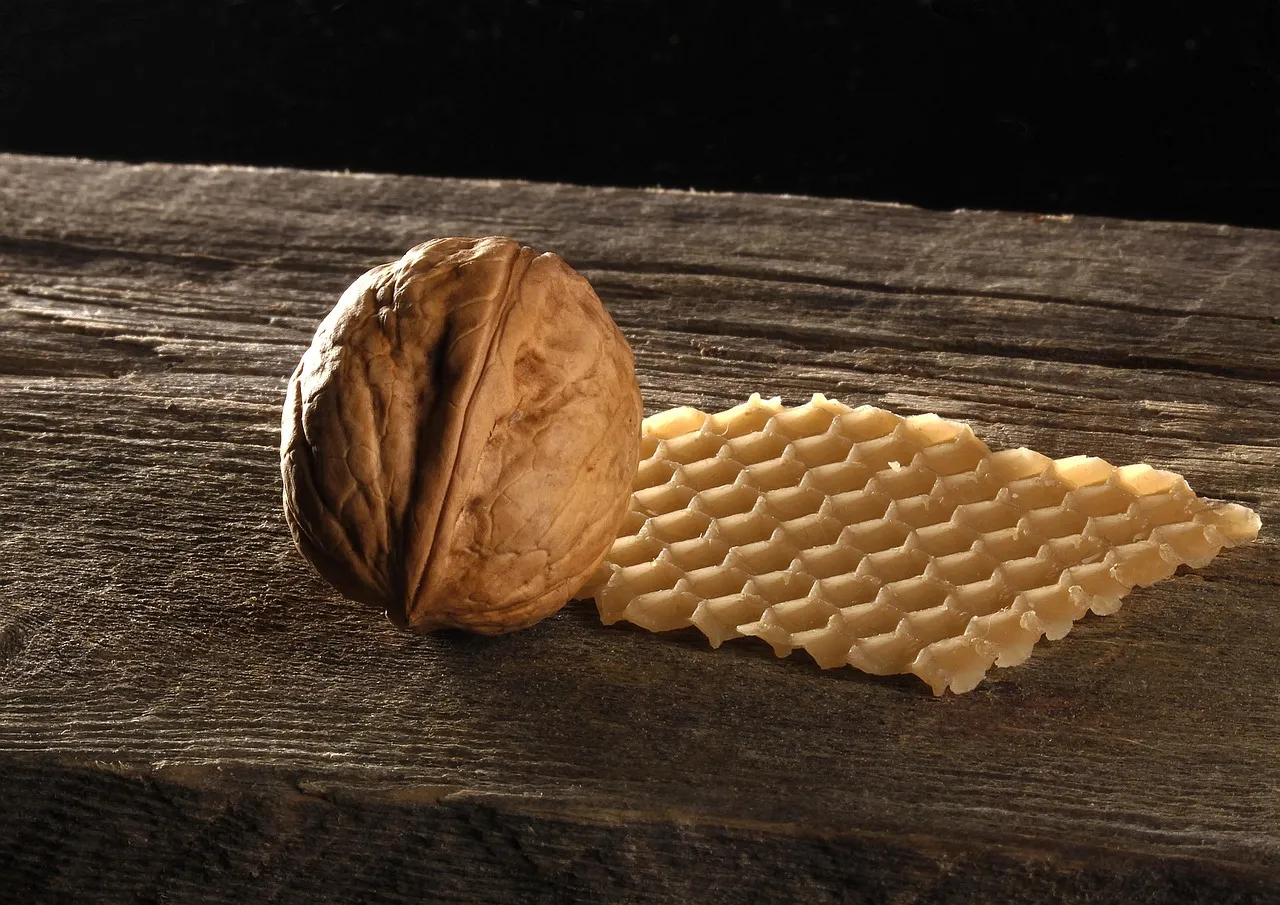 Wood Tones and Color: Why Brown Is Having a Moment (Image Credits: Pixabay)