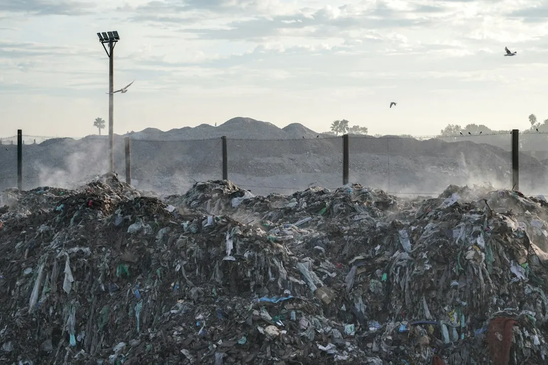 Moisture Inside the Bin Makes Things Much Worse (Image Credits: Unsplash)