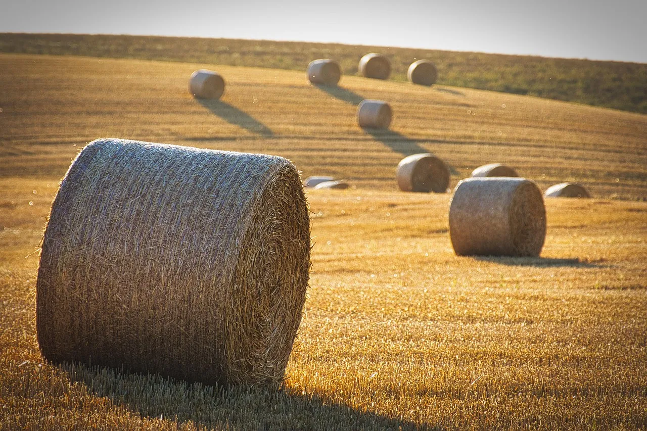 Timing Your Application for Maximum Cooling Benefit (Image Credits: Pixabay)