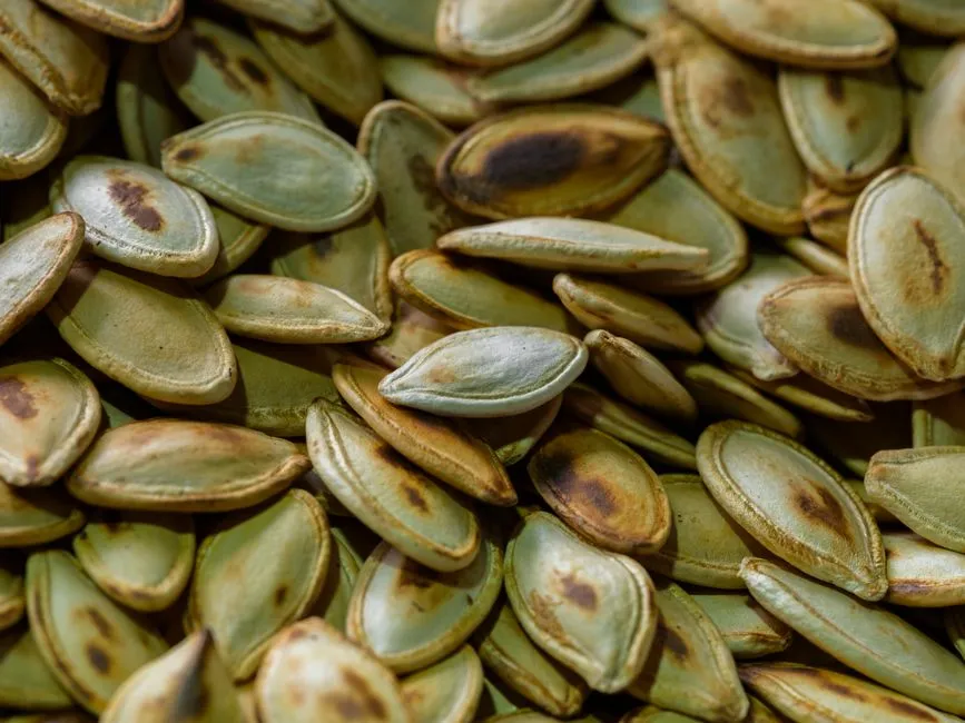 What Happens in the Oven When Seeds Are Still Wet (Image Credits: Pexels)