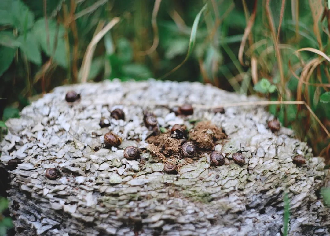 The Latrine Habit That Creates a Health Crisis Overhead (Image Credits: Unsplash)