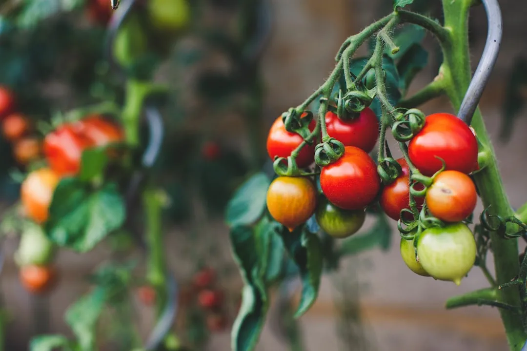 How Much to Remove, and When to Start (Image Credits: Unsplash)