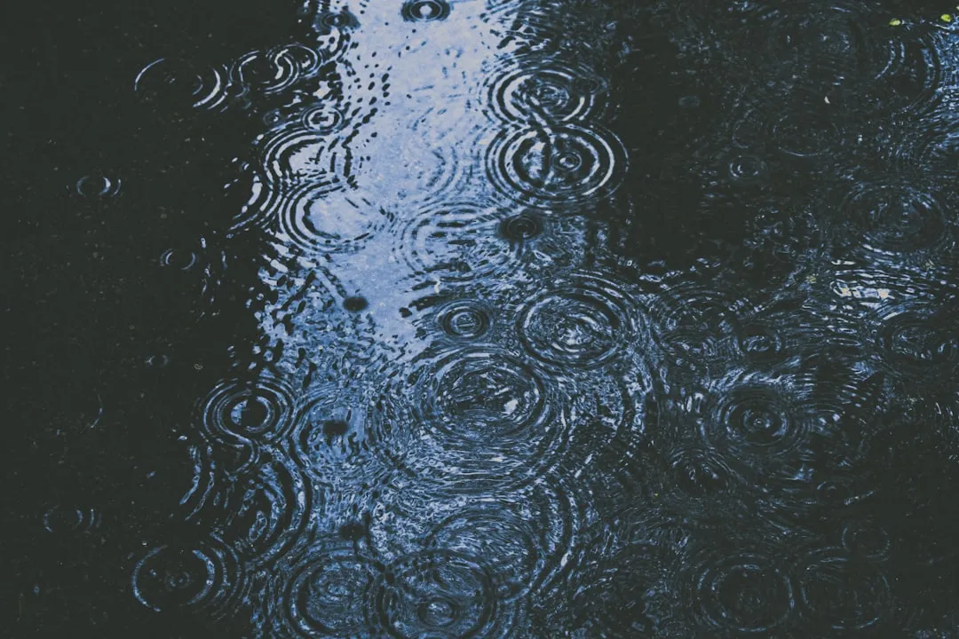 Rain Does Something Similar, But Differently (Image Credits: Unsplash)