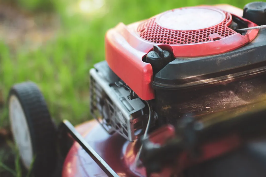 Mowing Too Short Is Scalping the Lawn (Image Credits: Unsplash)