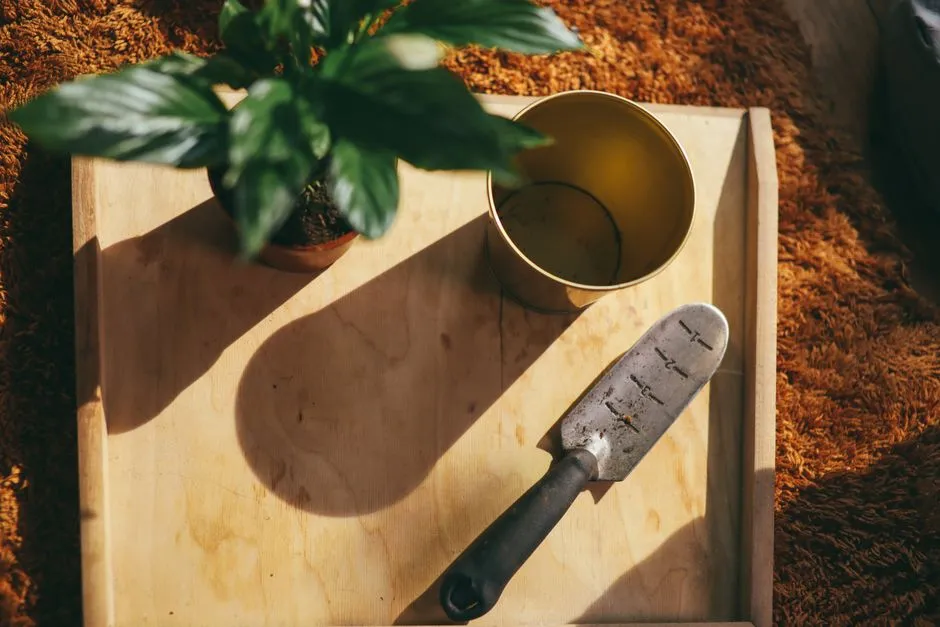 The Takeaway (Image Credits: Pexels)