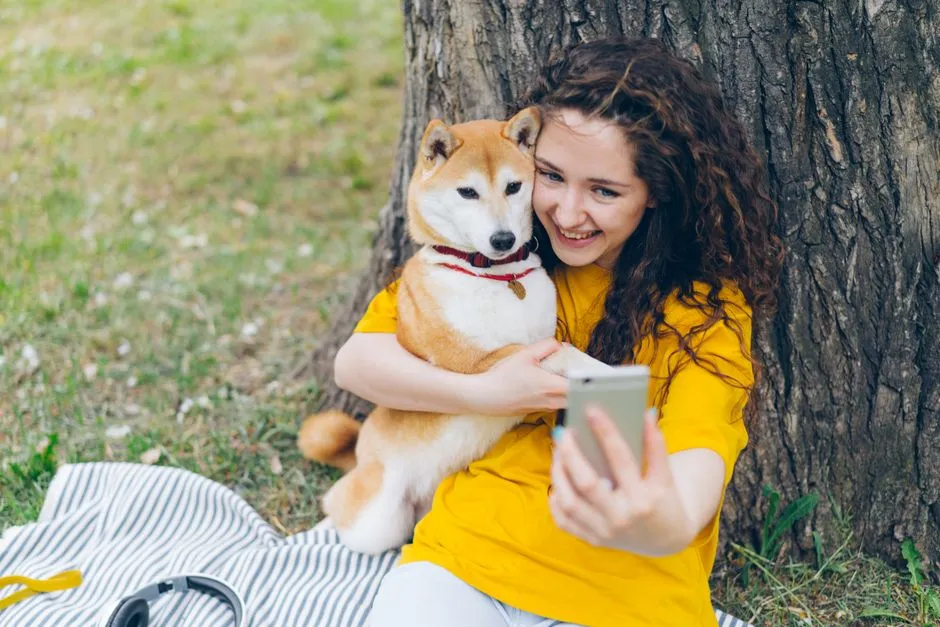 How Dogs Store and Recall Emotional Memories (Image Credits: Pexels)