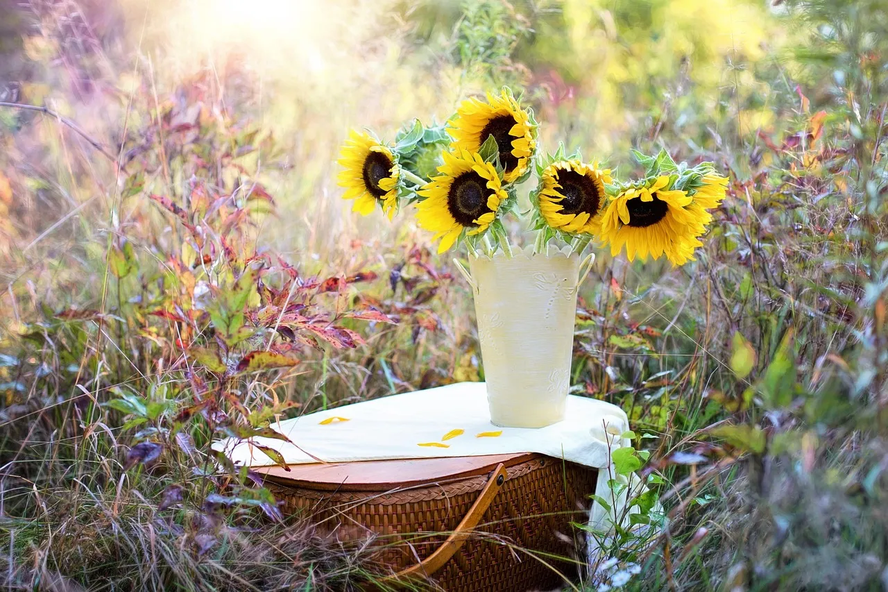 Bacteria in Vase Water: A Quiet, Deadly Blockade (Image Credits: Pixabay)