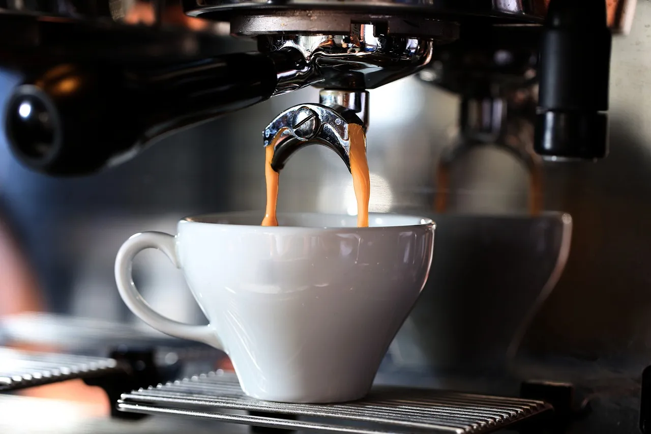The Espresso Drinker: Precision and Control (Image Credits: Pixabay)