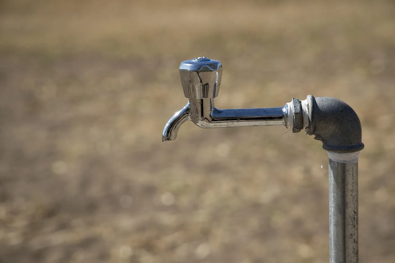 It Saves a Meaningful Amount of Water (Image Credits: Pixabay)
