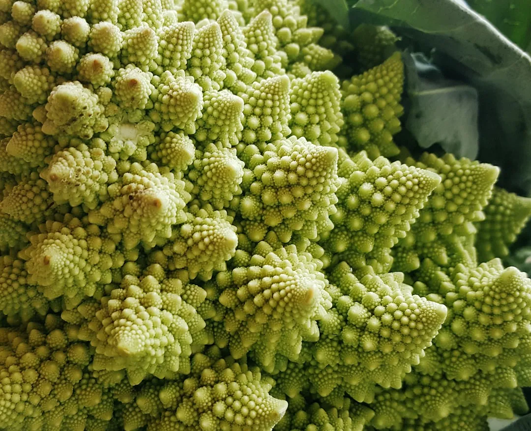 4. Romanesco Broccoli: Geometry You Can Eat (Image Credits: Unsplash)