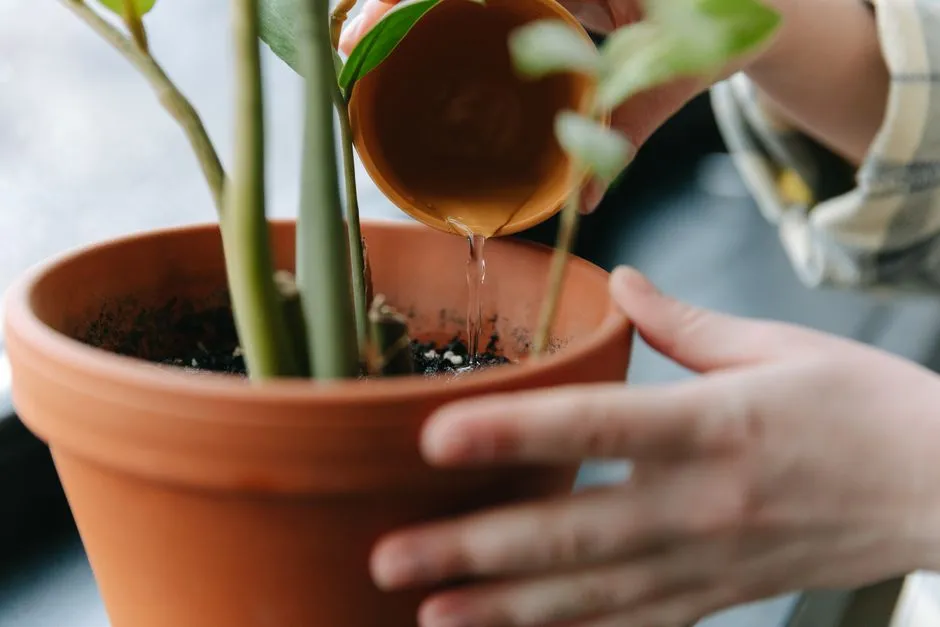 Soil Type Changes Everything (Image Credits: Pexels)