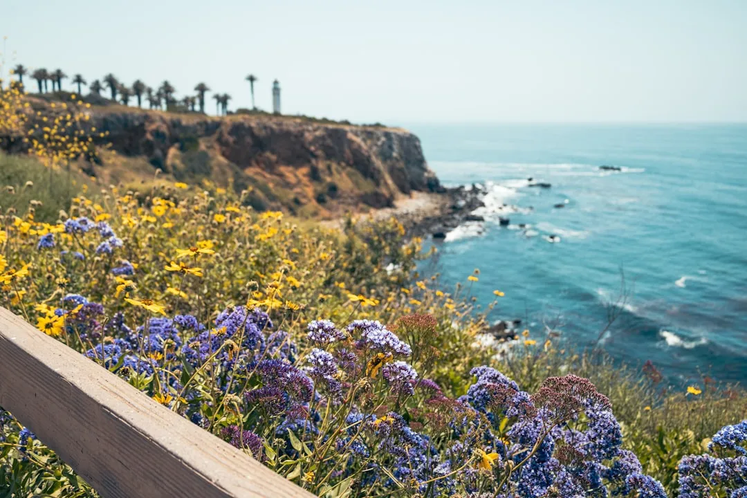 Planting Timing and the First Season (Image Credits: Unsplash)