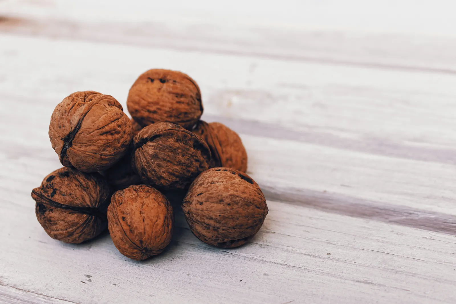 Where the Poison Comes From: Roots, Leaves, Hulls, and Rain (Image Credits: Unsplash)