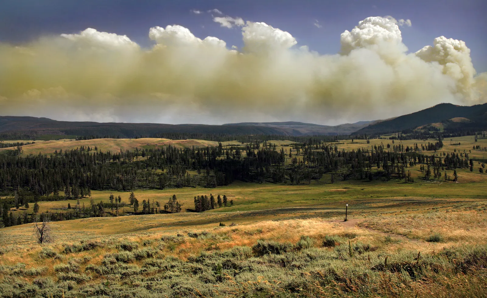 What PM2.5 Actually Is and Why It's So Dangerous (By Brocken Inaglory, CC BY-SA 3.0)