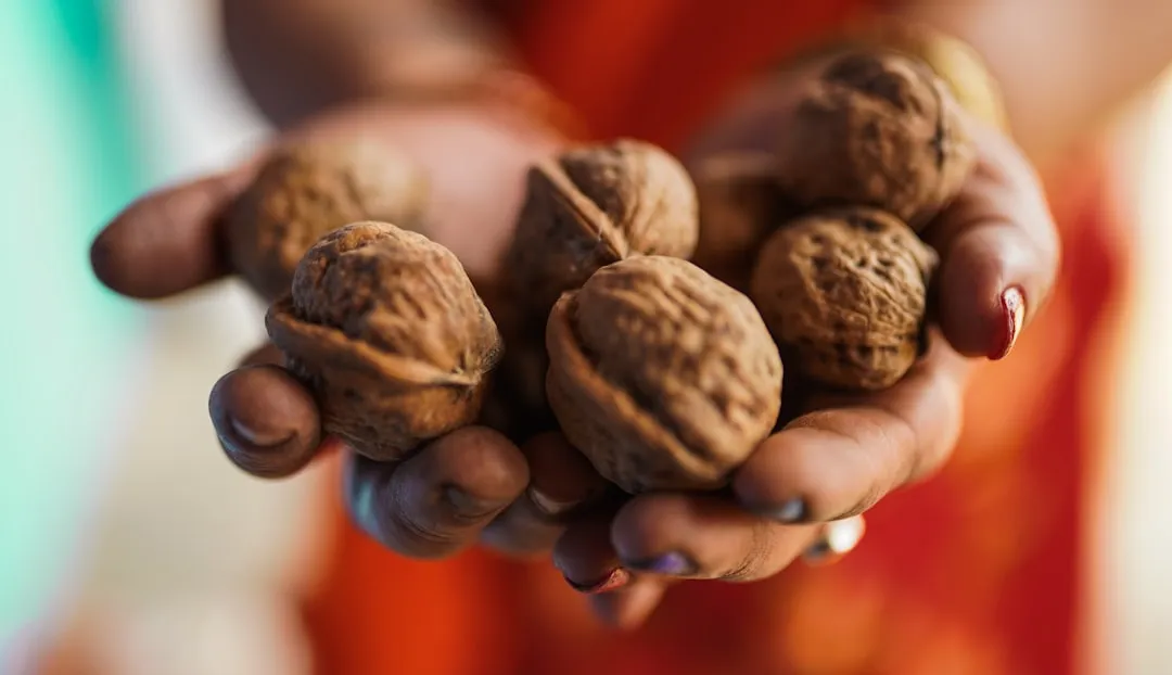 5. Nuts: A Small Handful with Big Returns (Image Credits: Unsplash)