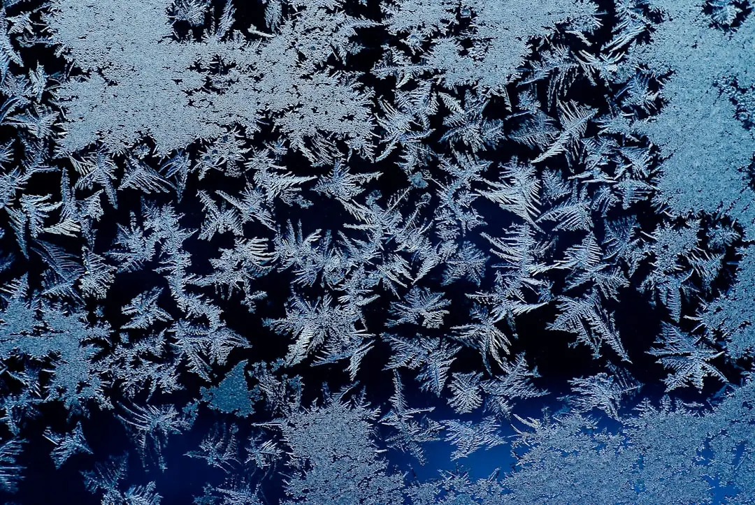 What Cold Stratification Actually Means (Image Credits: Unsplash)