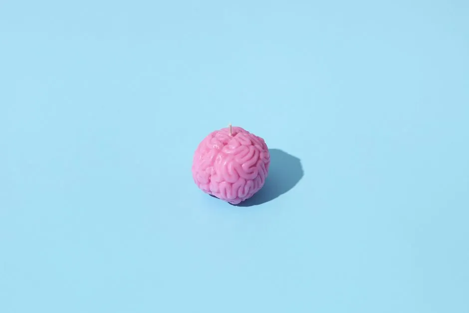 Dopamine, Memory, and the Novelty Trigger (Image Credits: Pexels)