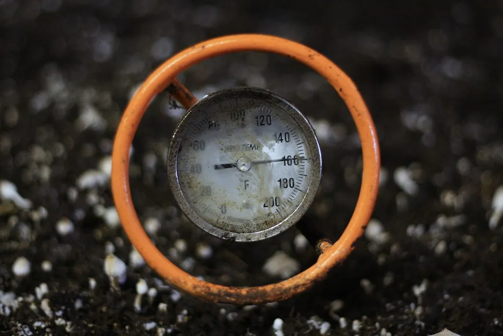 Ignoring the Temperature Signal (seabamirum, Flickr, CC BY 2.0)