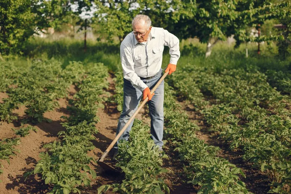 The Weed Problem, Reconsidered (Image Credits: Pexels)