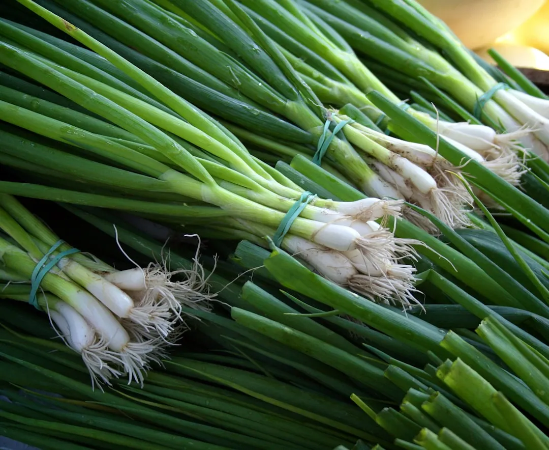 Green Onions Regrow From Water in Days, Not Weeks (Image Credits: Unsplash)