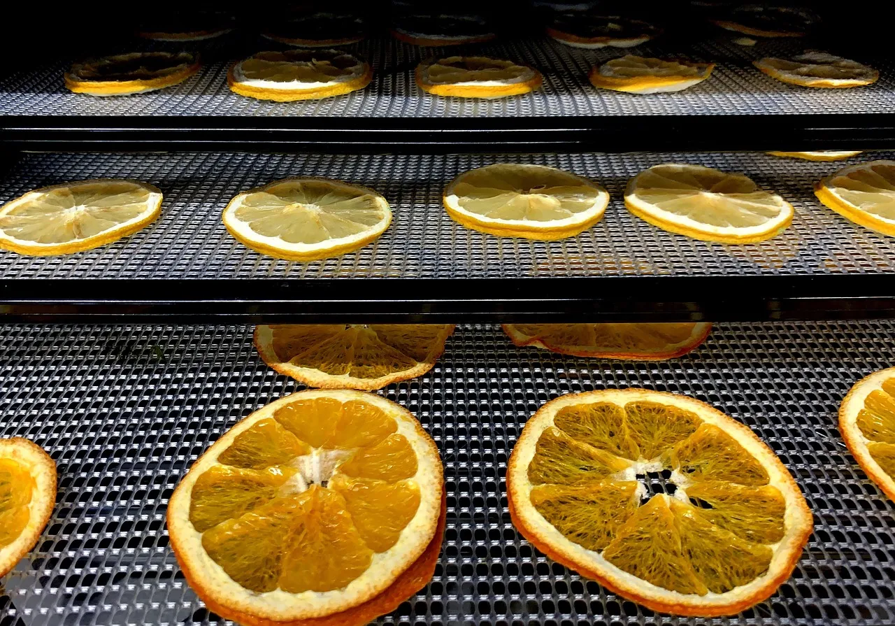 Drying and Dehydration: Removing What Bacteria Need (Image Credits: Pixabay)