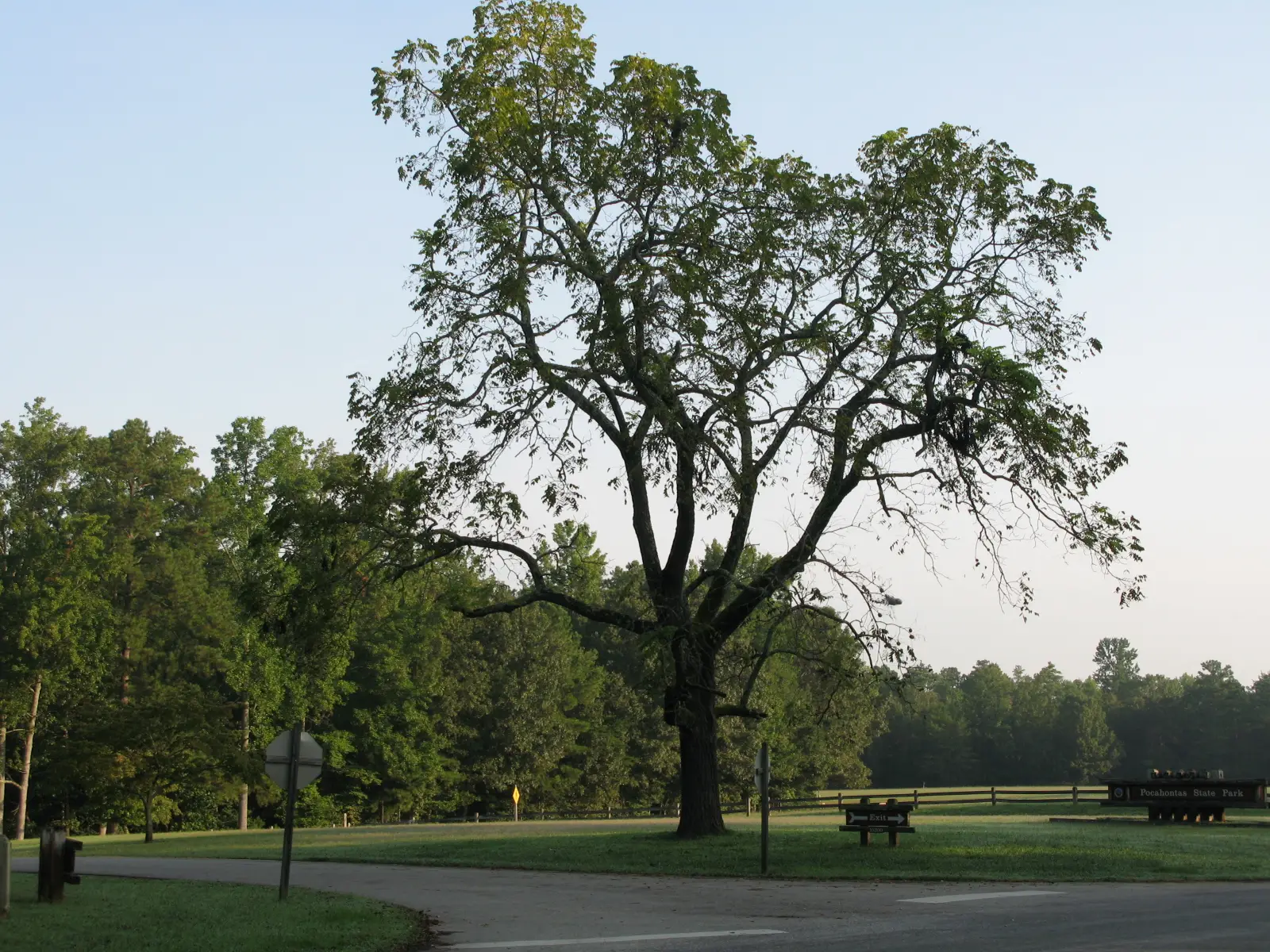 The Plants That Shrug It Off (vastateparksstaff, Flickr, CC BY 2.0)