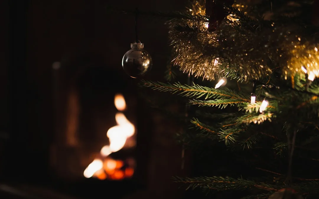 January Is Statistically the Most Dangerous Month for Tree Fires (Image Credits: Unsplash)