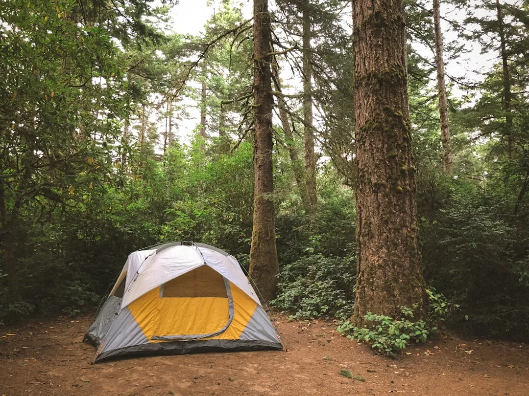 Choose the Right Tent Before You Even Leave Home (Image Credits: Unsplash)