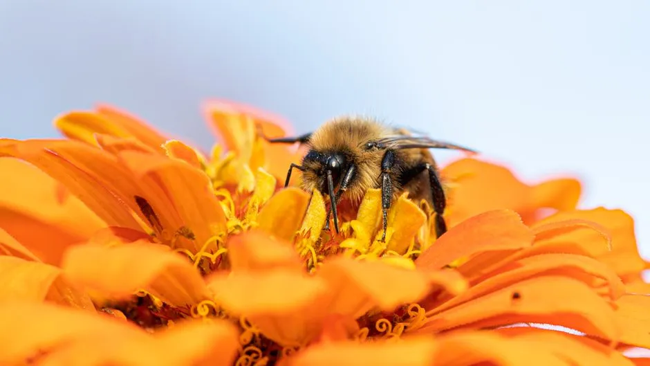 Start with a Site Assessment Before Buying a Single Plant (Image Credits: Pexels)