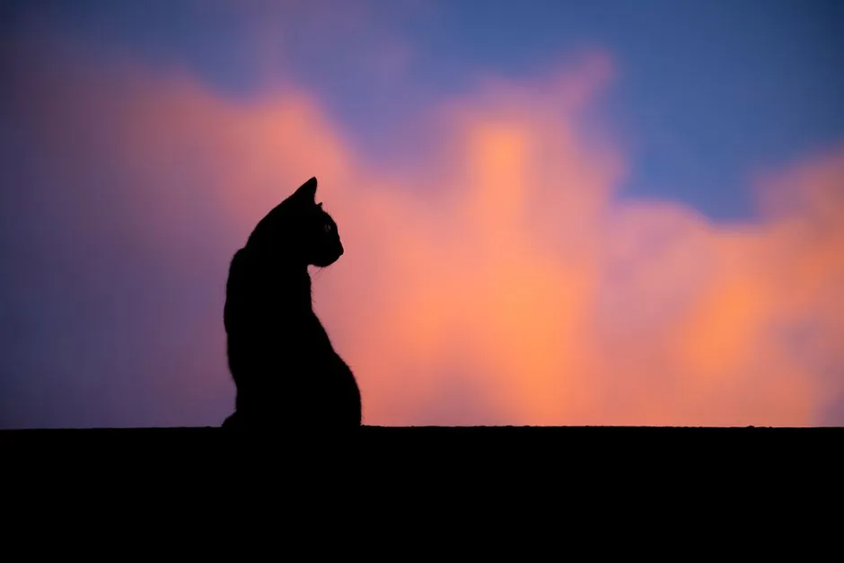 Their Crepuscular Nature Is Working Against You (Image Credits: Pexels)