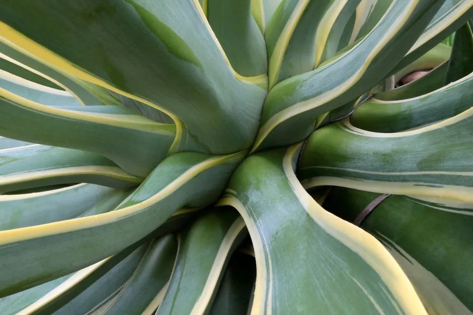 A Living Record: The Indiana University Plant (Image Credits: Pexels)