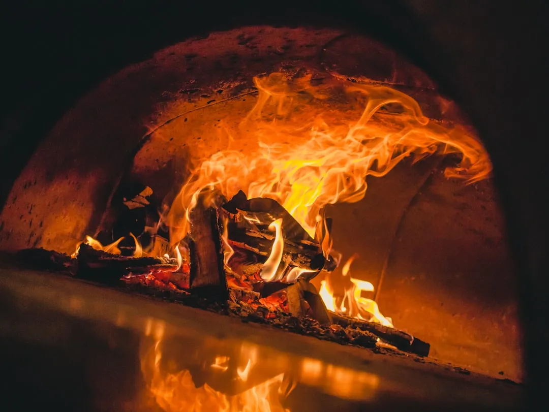 Ignoring Oven Cleanliness - The Fire You Don't See Coming (Image Credits: Unsplash)
