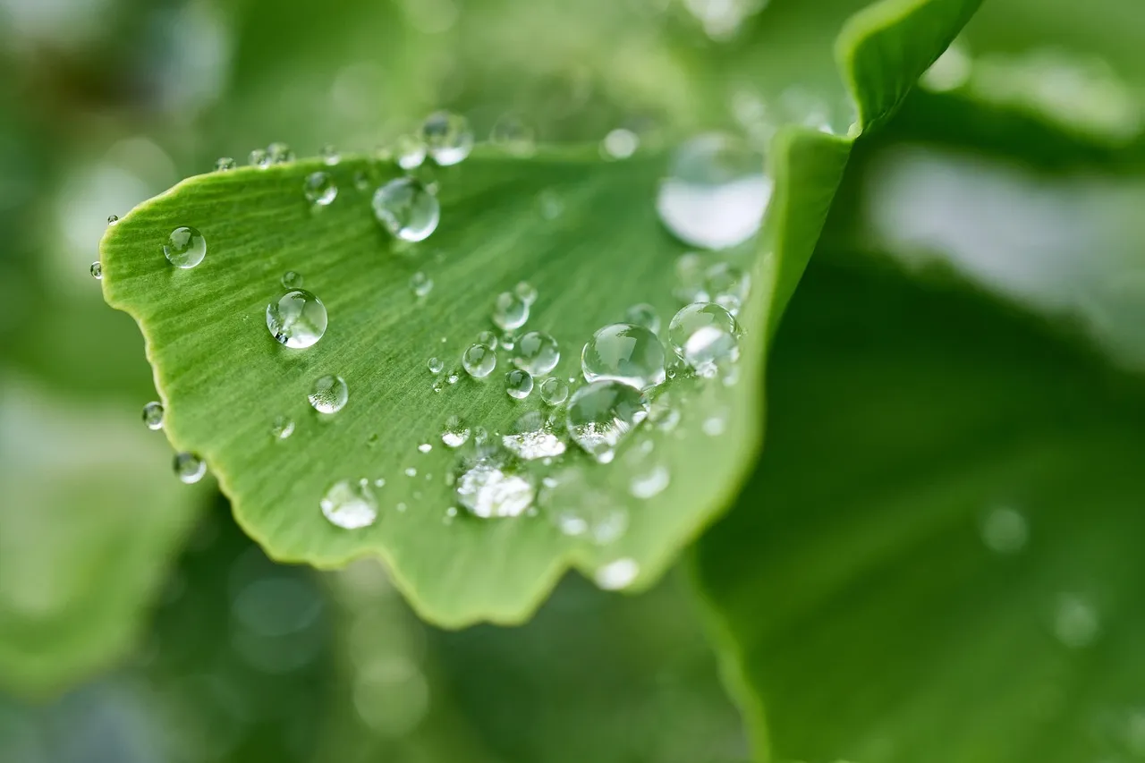 Why These Plants Don't Age the Way We Do (Image Credits: Pixabay)