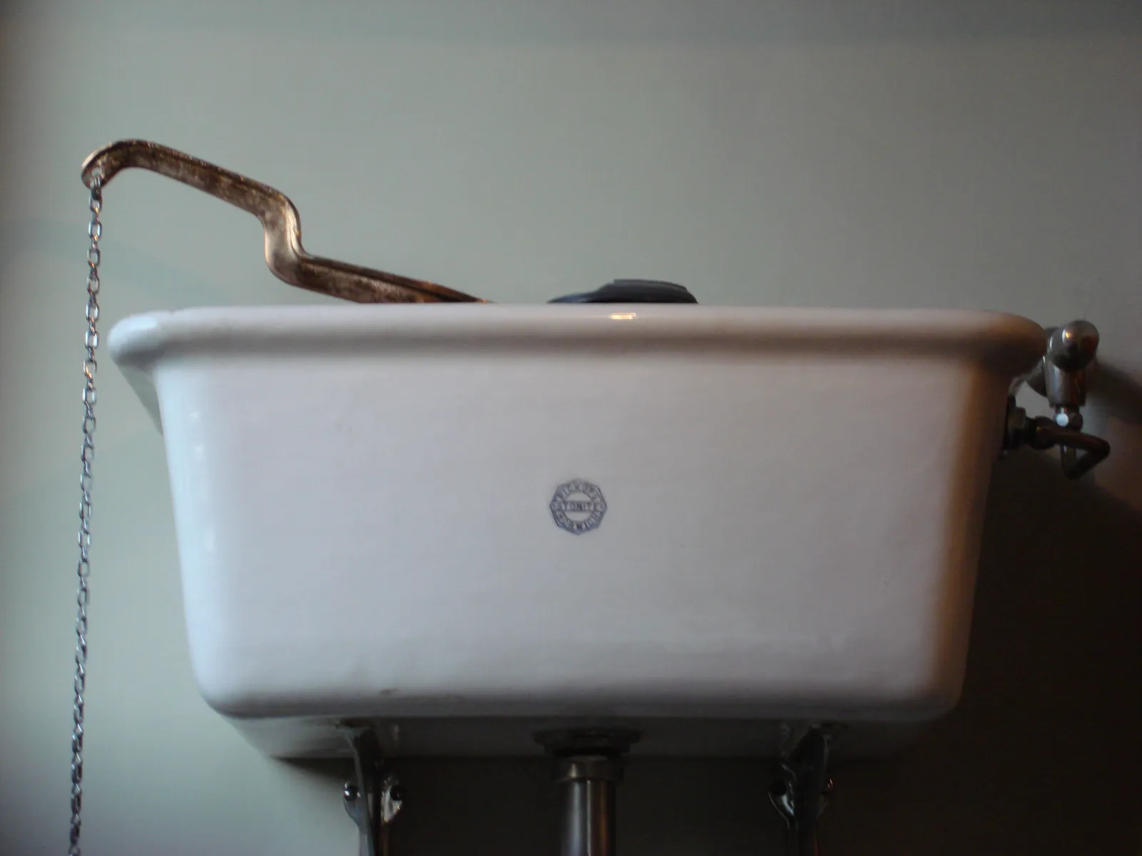 The Flapper Valve: The Most Likely Culprit (By Oxyman, CC BY 2.5)
