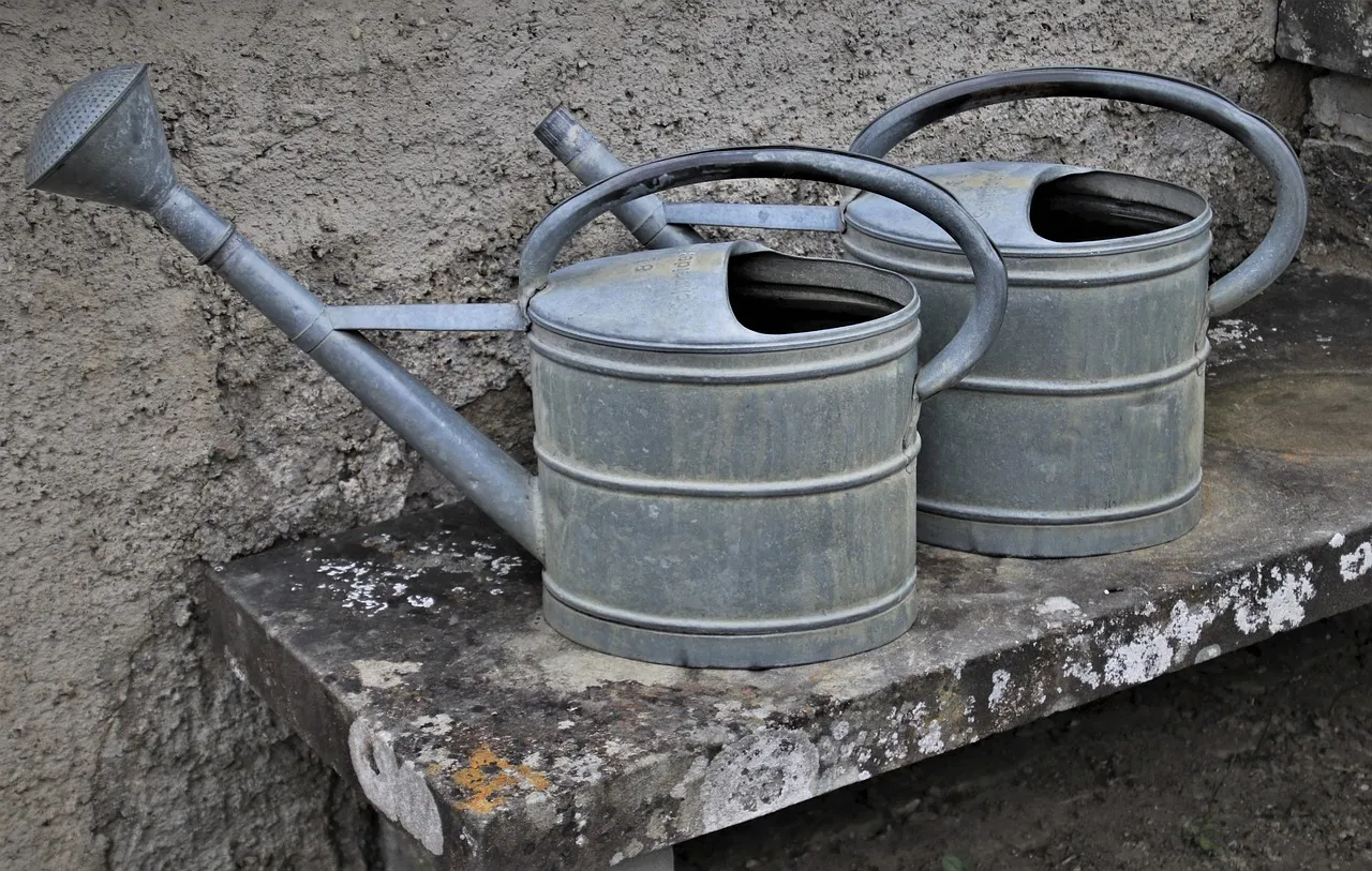 Provenance and Condition Drive Pricing (Image Credits: Pixabay)