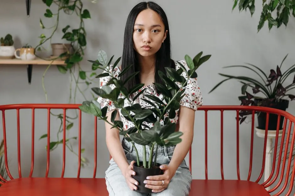 8. The ZZ Plant Owner Has Given Up On Perfect Routines (Image Credits: Pexels)