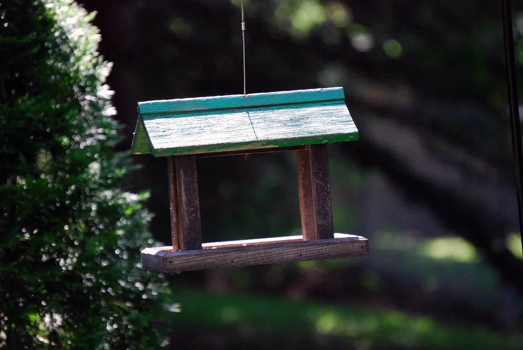 Feeding Birds Without Feeding Rodents (webhamster, Flickr, CC BY 2.0)