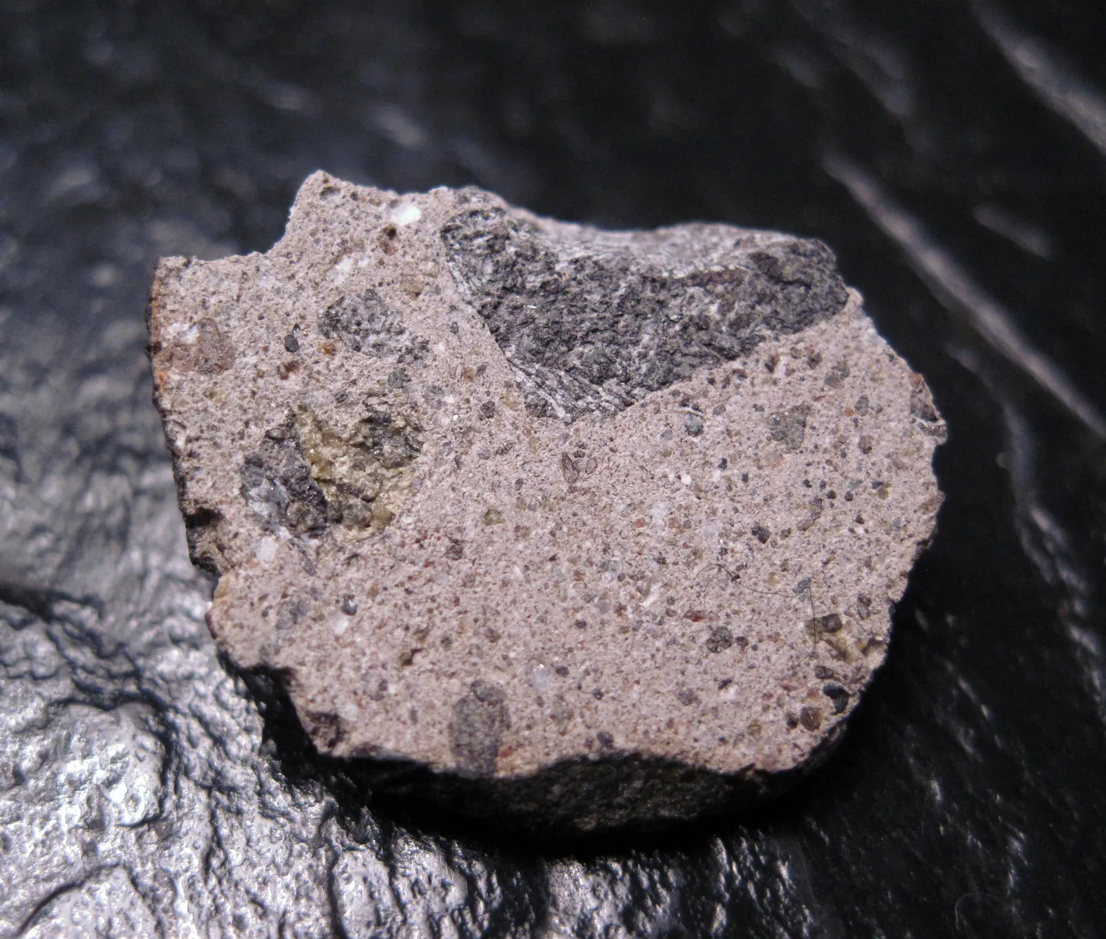 Conclusion: Space Rock in the Garden Bed (Flickr: NWA 5489 Howardite, CC BY-SA 2.0)