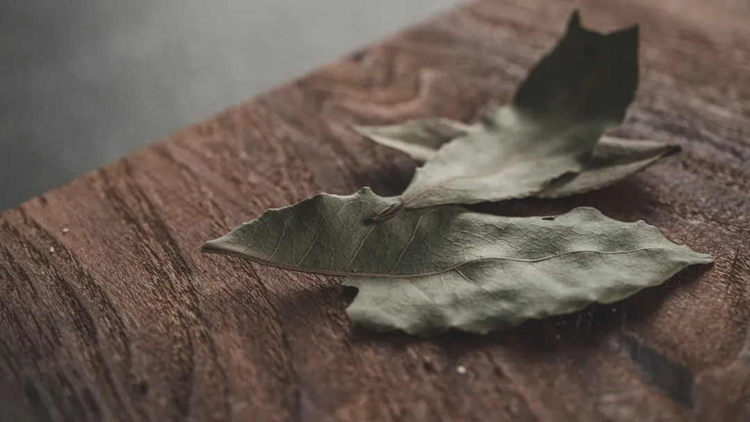 Why Dust on Leaves Is a Real Problem (Image Credits: Unsplash)