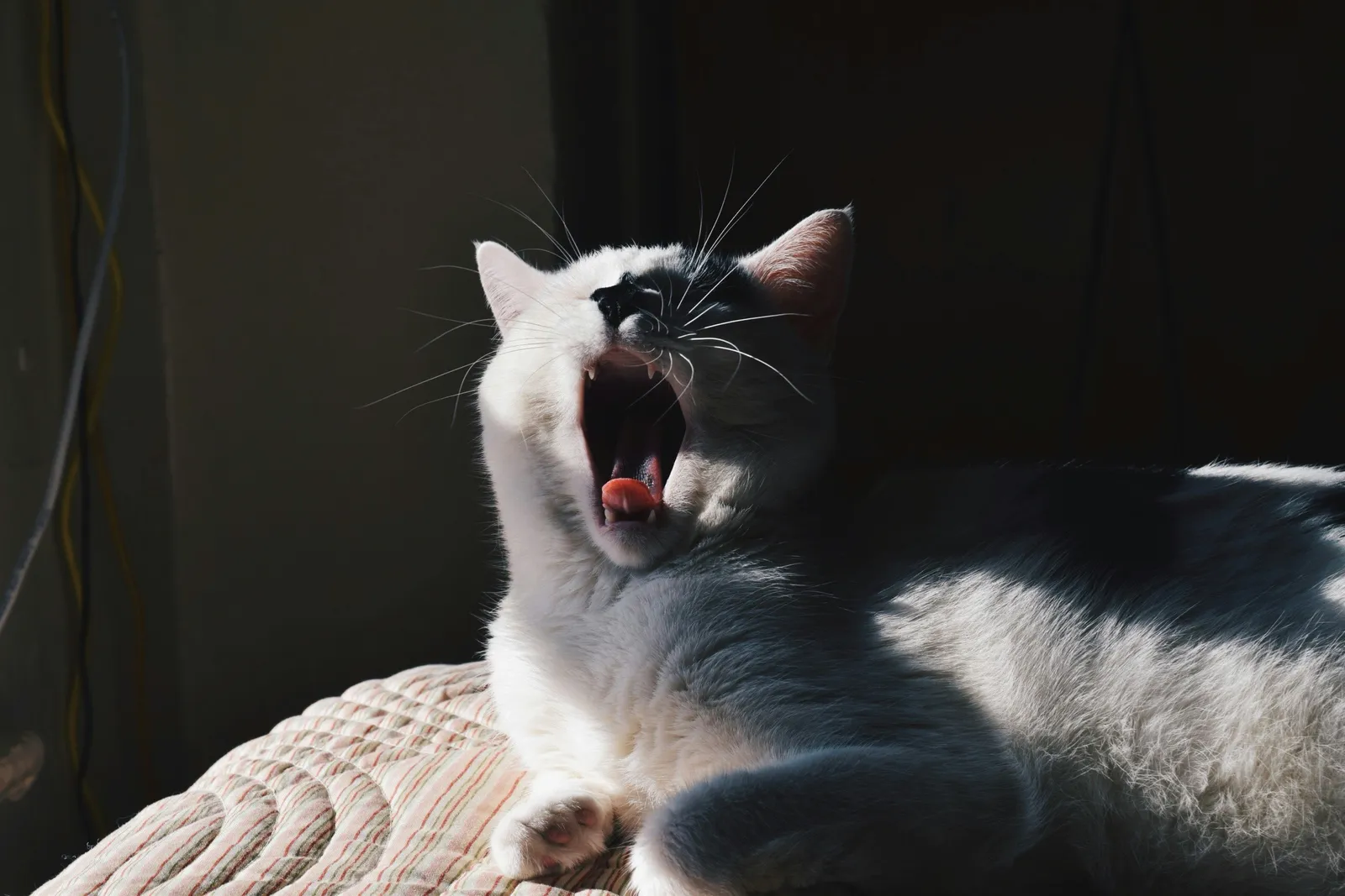 It Has an Official Name: Non-Recognition Aggression (Image Credits: Unsplash)
