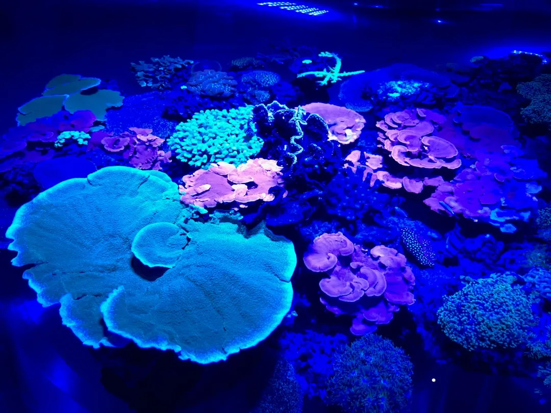 Carnivorous Plants: Using UV Glow as a Trap (Image Credits: Unsplash)