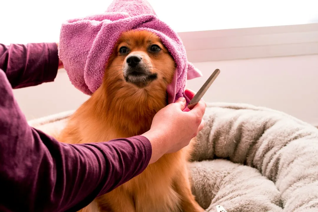 The Hygiene Reality (Which Is Uncomfortable But Not Catastrophic) (Image Credits: Unsplash)