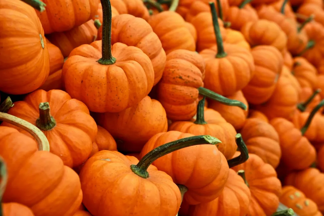 Start With the Right Pumpkin (Image Credits: Unsplash)