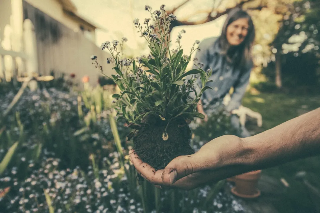 Timing Your Plantings: The Detail Most Beginners Skip (Image Credits: Unsplash)