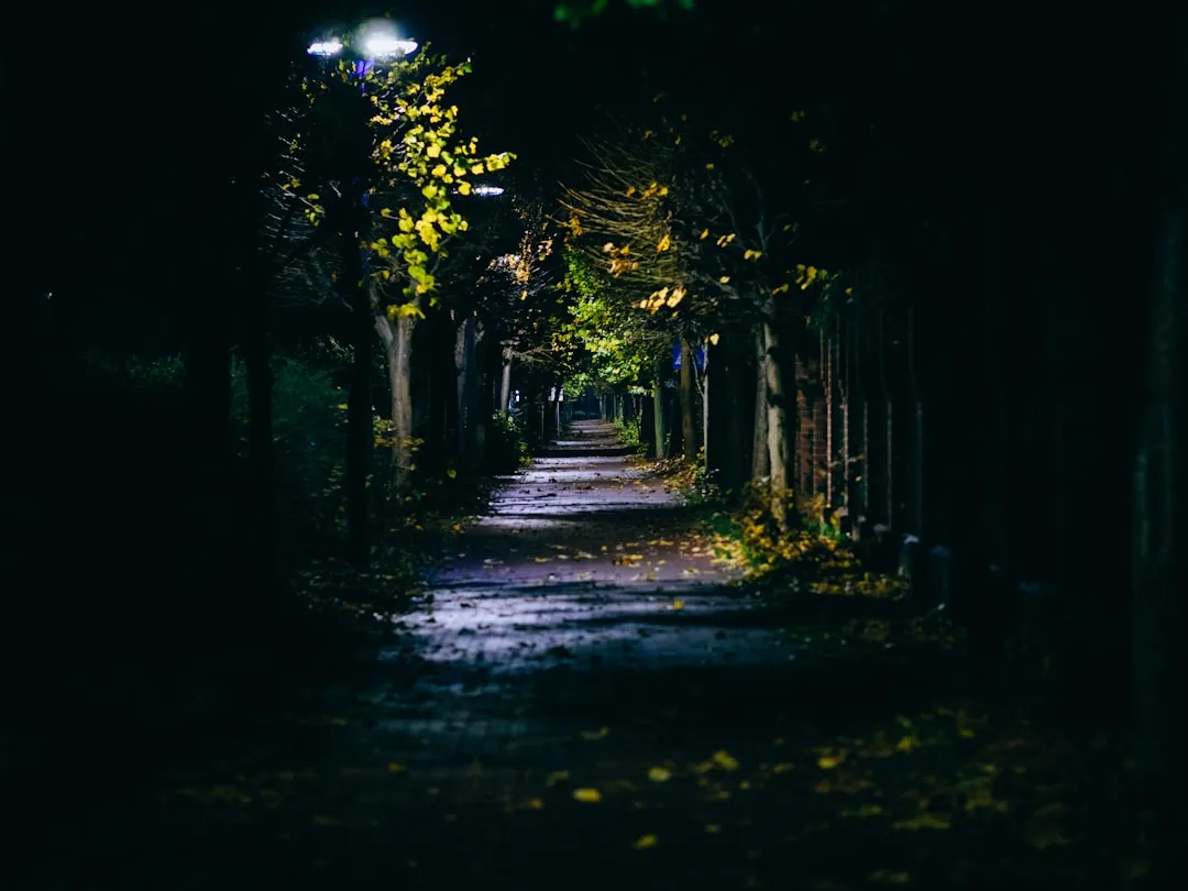 How to Place Night-Blooming Plants for Maximum Scent (Image Credits: Unsplash)