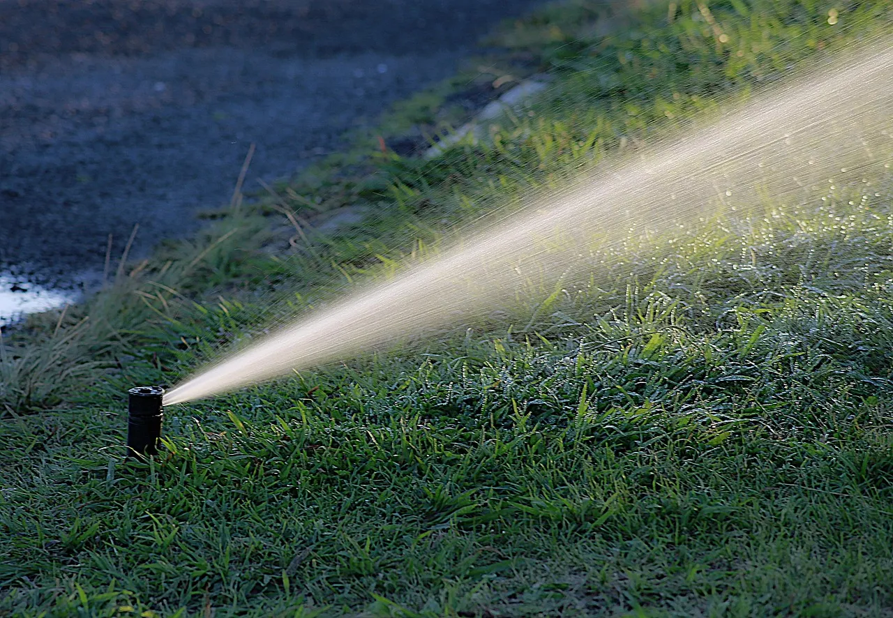 How to Apply This in Your Garden (Image Credits: Pixabay)