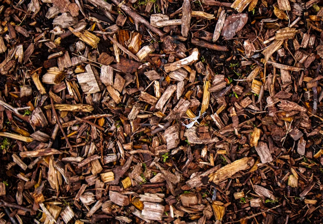 The Role of Mulch During the Winter Months (Image Credits: Unsplash)