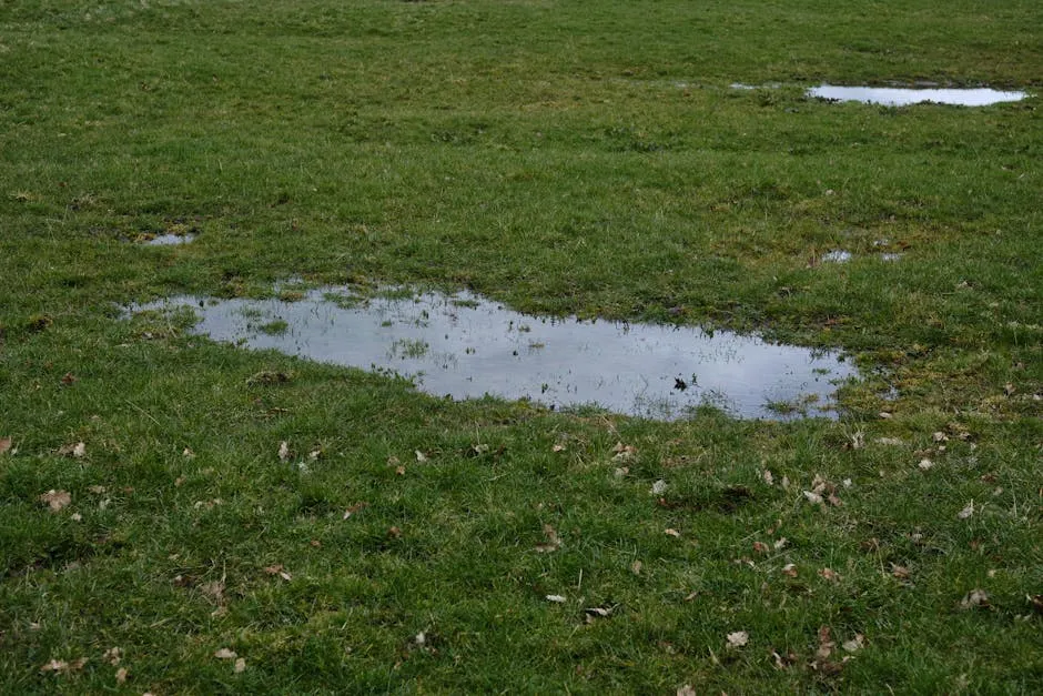 2. Water Pools on the Surface or Runs Off Too Quickly (Image Credits: Pexels)